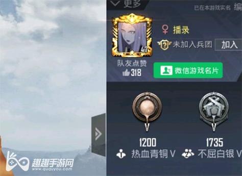 和平精英《圣女果》直装外挂全网首发上市